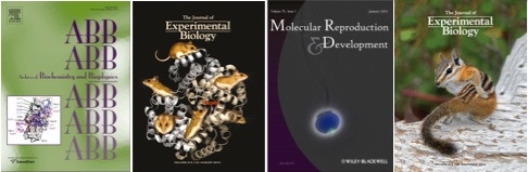 Book covers